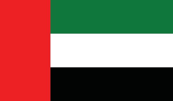 UAE flag